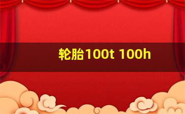 轮胎100t 100h